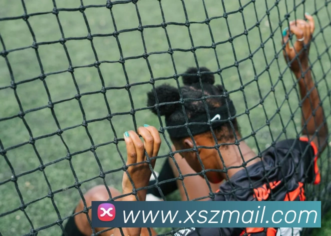 世界杯官网登录app平台生态图