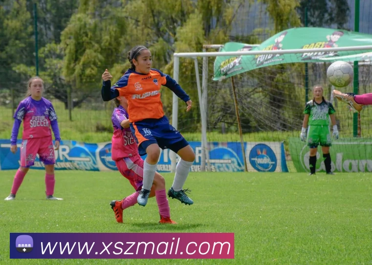 世界杯官网登录appAPP 封面图